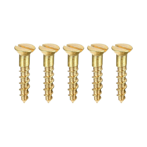 Träskruvar M2 X 10mm Spårskruv Platt Huvud Mässing Självgängande Skruvar 100 st