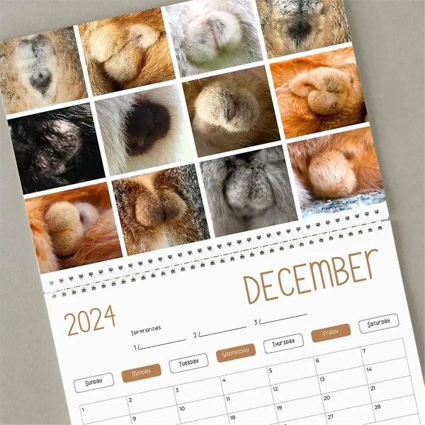 Sjov kalender - Sjov gave - Kattebalder Kalender 2024 - Fancy gaver - -pop - Testikler -