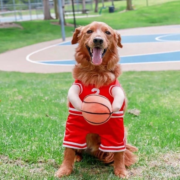 Hundekostume Basketballspiller med Bold Hvalpe Basketball Kostume Holder Bold {db} Red M
