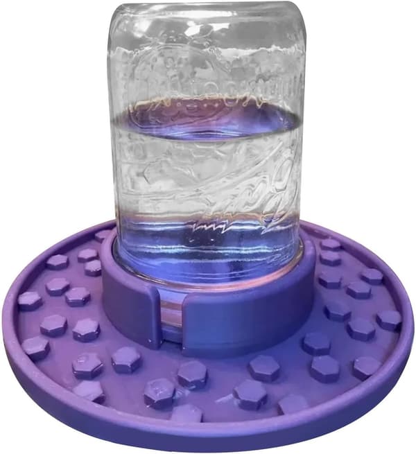 Bifoder til almindelig mundingsglas | Glas sukker vandfoder til bier - Havekopper, sukker vand & indgang, effektiv honningbi konservering, brugt [DB]