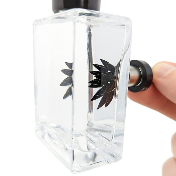 Ferrofluid Moving Magnetic Display Toy Table Decors House Ornament Kids Fun Gift Db