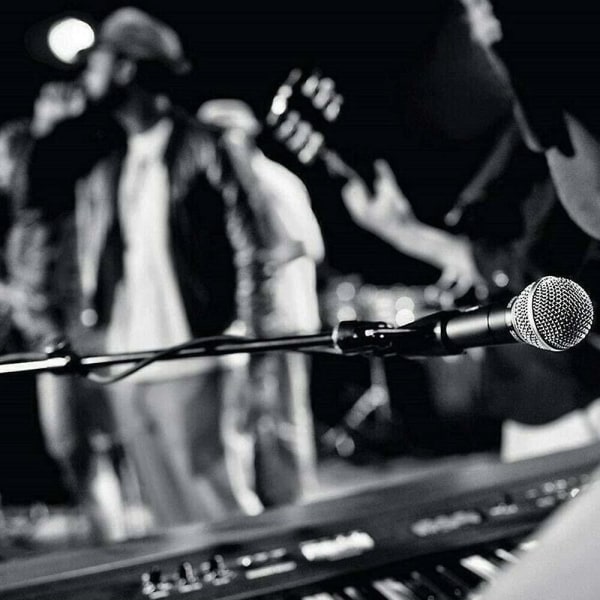 Til Shure SM58 Dynamisk Vokal Mikrofon Ledningsmikrofon Med Afbryder Med Kabel 2024 {DB SM58LC Without switch