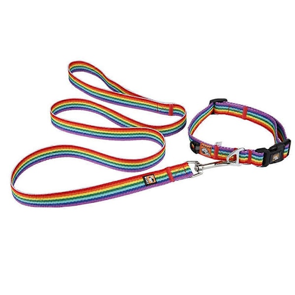 Dog Pride Mode Tilbehør, Regnbueflag Hundehalsbånd med Ikke-absorberende Materiale til Aktive Kæledyr, Drejelig Bolt Snap Tilbyder Sikkerhed og E [DB]