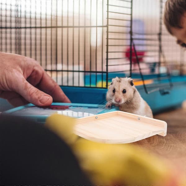Hamsterburbræt Træ Kæledyr Sektorformet Platform til Små Kæledyr[DB]