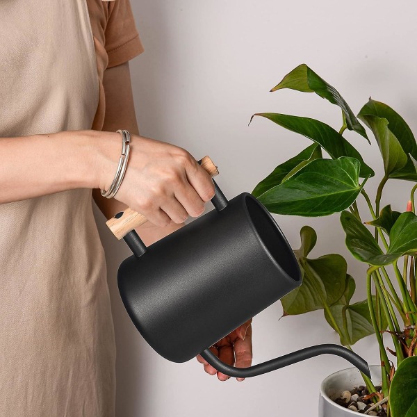 1000ml Watering Can Stainless Steel Indoor Watering Can With Long Spout And Wooden Handle Watering Jug For Houseplant Office Potted Plants (black)