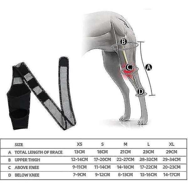 Uusi Koiran Polvituki Koiran Jalan Tuki Rikkoutuneelle Acl:lle Takajalan Koiran Lonkan Tukivyö Luxating Patellalle Parempi [DB] XL