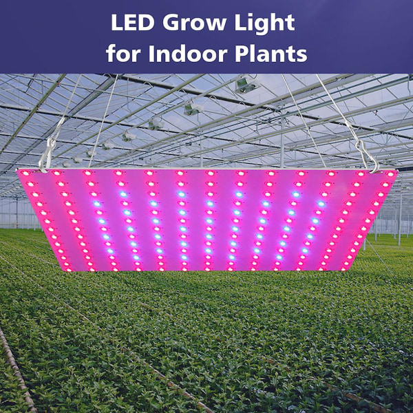25w Led Grow Light För inomhusväxter 81 LEDs Red & Blue Spectrum Hängande växtodlingslampor för plantor Grönsaker Blommor Växthus [DB] UK Plug and 81 LEDs
