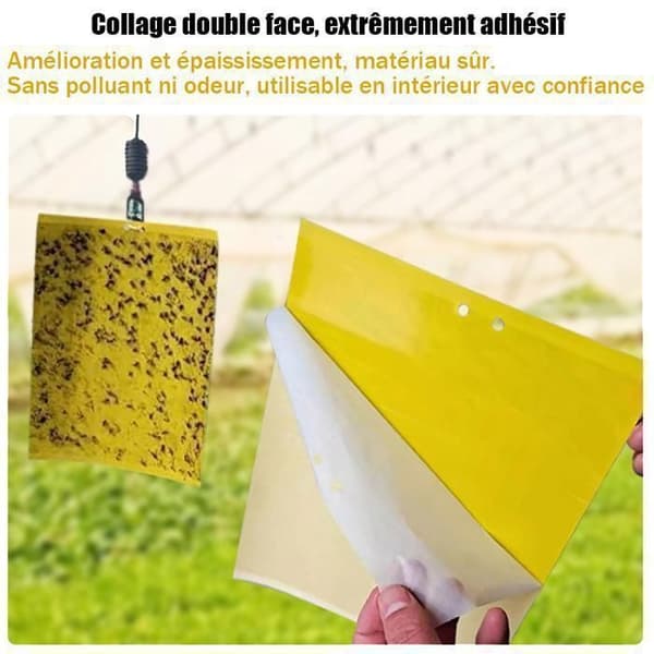 Klibbig insektsfälla, skadedjursfälla, 8-pack fällor, klibbig insektsfällbräda, lämplig för olika miljöer - 20x15cm[DB]