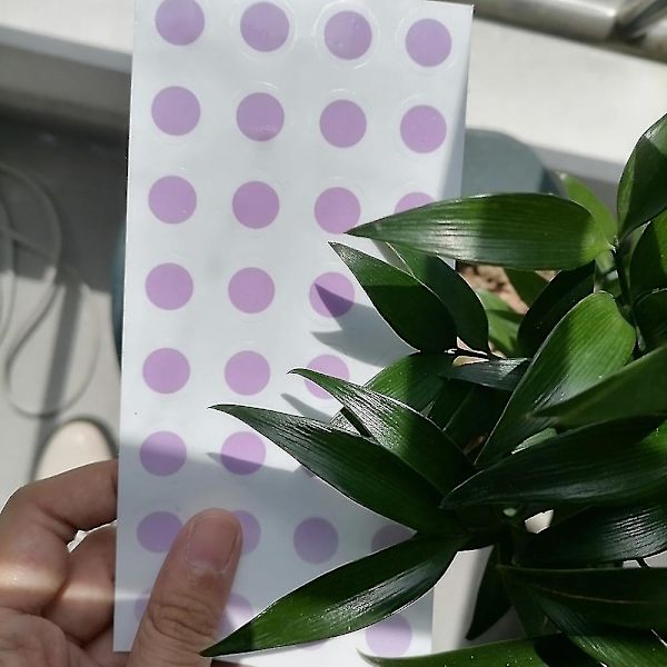 50-200PCS Nytt UV-solskydd Påminnelse Etikett Klistermärke