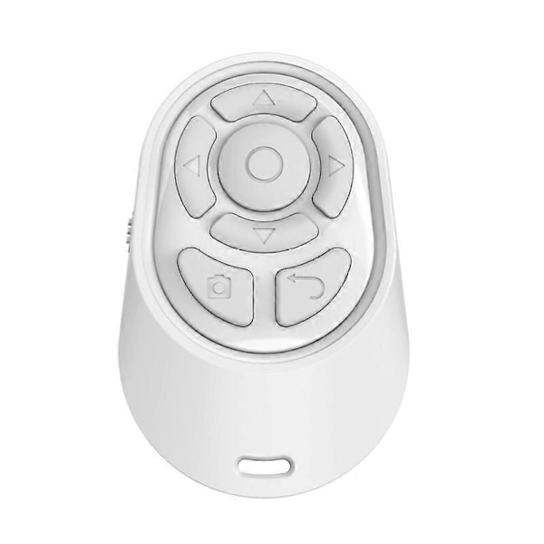 Trådlös Powerpoint Presentation Fjärrkontroll PPT Flip Pen Peka Laser [db] White