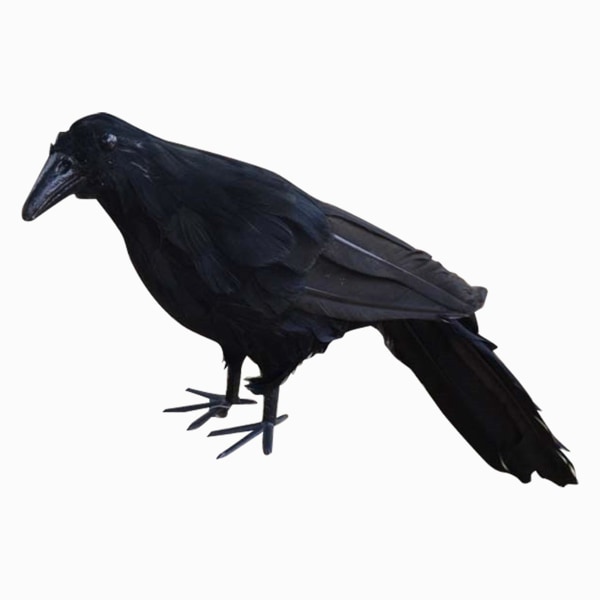 Realistinen uusi Black Raven Feathered Crow Halloween Fancy Dress -tarviketarvike