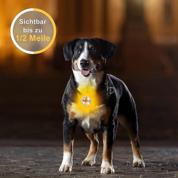 Sikkerheds-LED-blinklys til hunde (gul), katte - USB-genopladeligt LED-lys til hunde, 3 blinkende tilstande