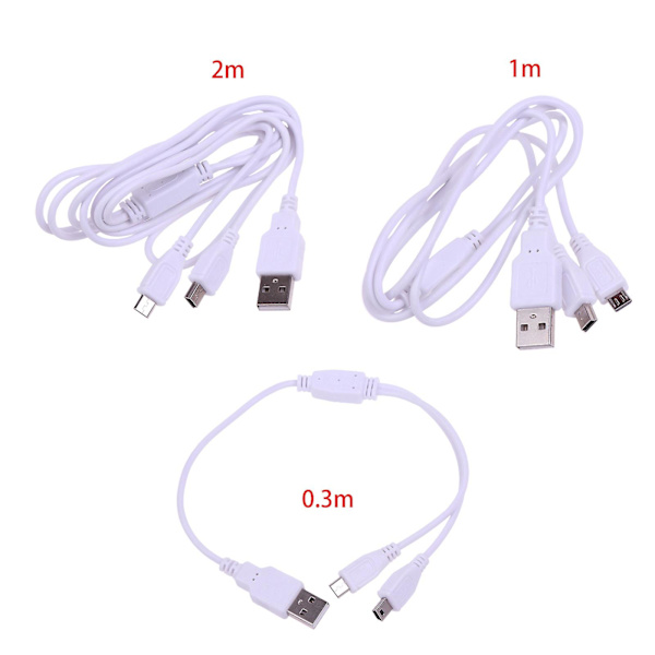 2-i-1 USB-kabel Micro USB Mini-USB till USB-kabel Snabbladdning för mobiltelefon [DB] 2m