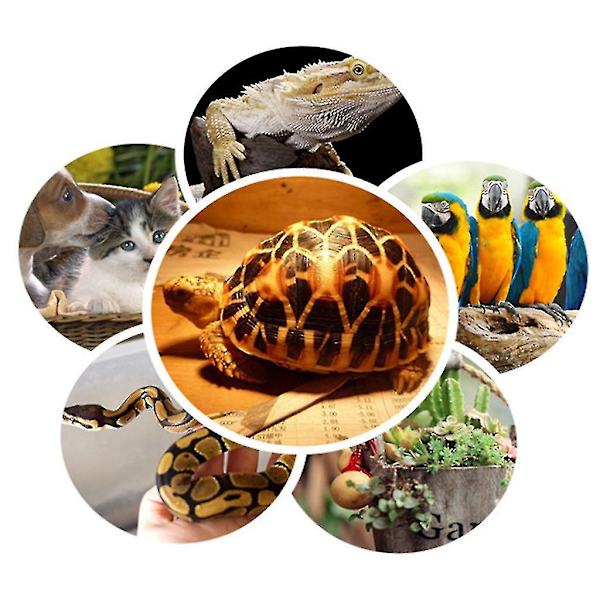Vinteropvarmning Reptil Varmelampe Pet Coop Varmeapparat Sæt Papegøje Varmer Lampe Multifunktionel Belysning Skildpadde Varmeemitter [DB]