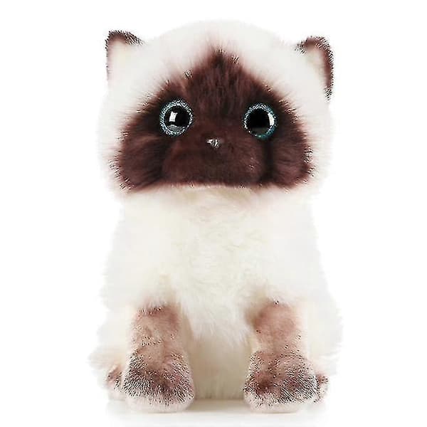 Söpö Ragdoll-kissa pehmolelu [DB] 20cm