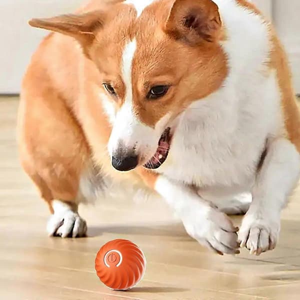 Hundleksak Boll Automatisk Rullande Hoppande Studsande Bollar Interaktiva Hundleksaker [DB] Orange One Size