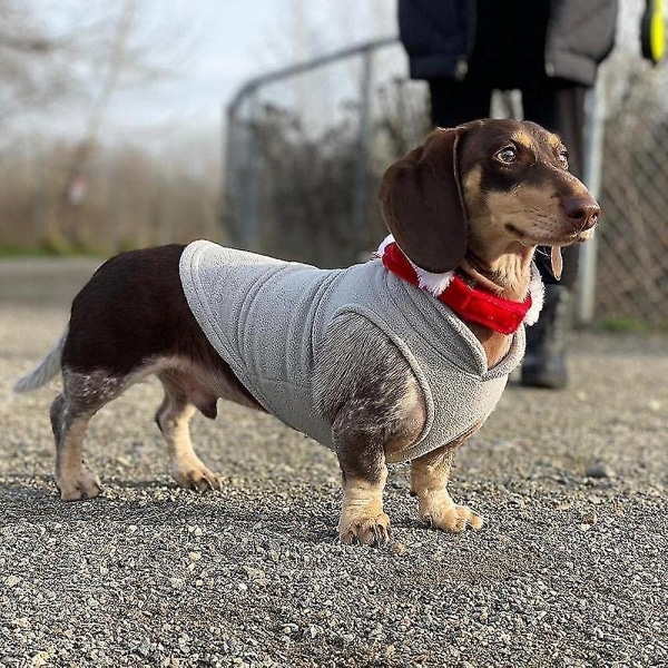 Varmt pullover fleece hundetrøje med O-ring snor, vinter lille hund sweater frakke, koldt vejr hundetøj-xl