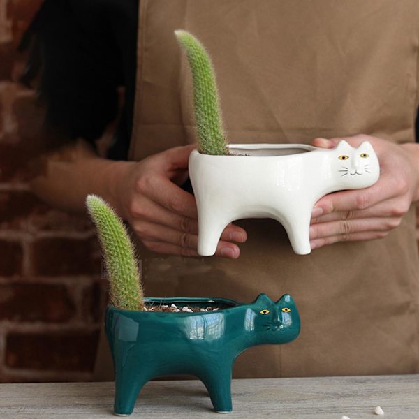 Sød Keramisk Have Blomsterpotte Dyr Billede Kaktus Plante Planter Sukkulent Plante Beholder Bordplade