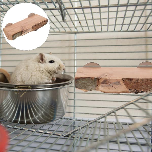 Hamstertilbehør Lille kæledyrsplatform til marsvineburforsyning[DB]