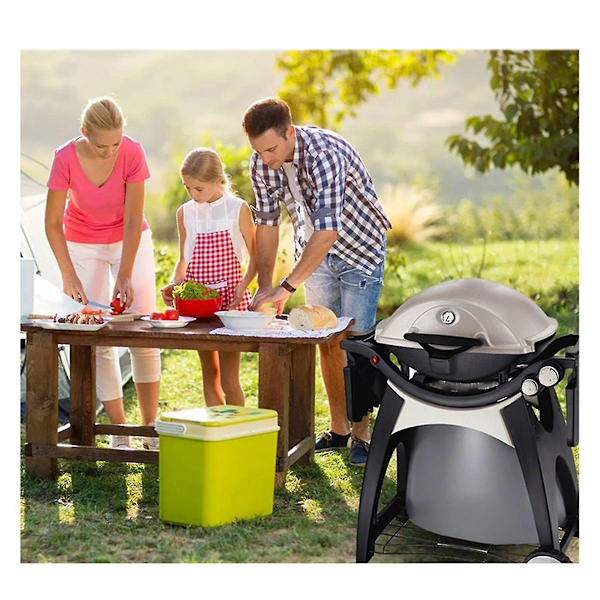 63788 Sytytyssarja Q320 2008 ja Q3200 2014 sarjan kaasugrilleille 80452 60092 Painonappi sytytys, Grillin sytytyssarjat {Db} As Shown