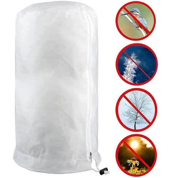 Vinterbeskyttelse Frostbeskyttelse til Palmplanter Snor 140x200cm [DB]
