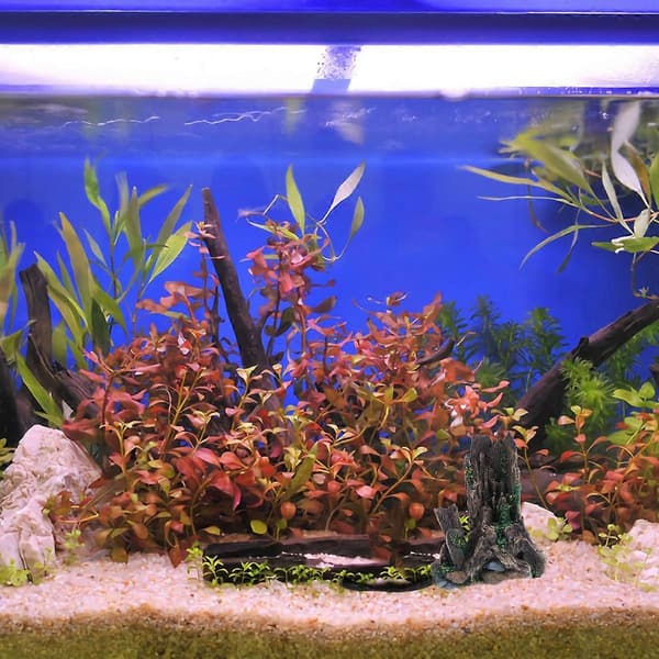 Akvariedekorasjon Harpiks Drivved for Akvarielandskapspynt
