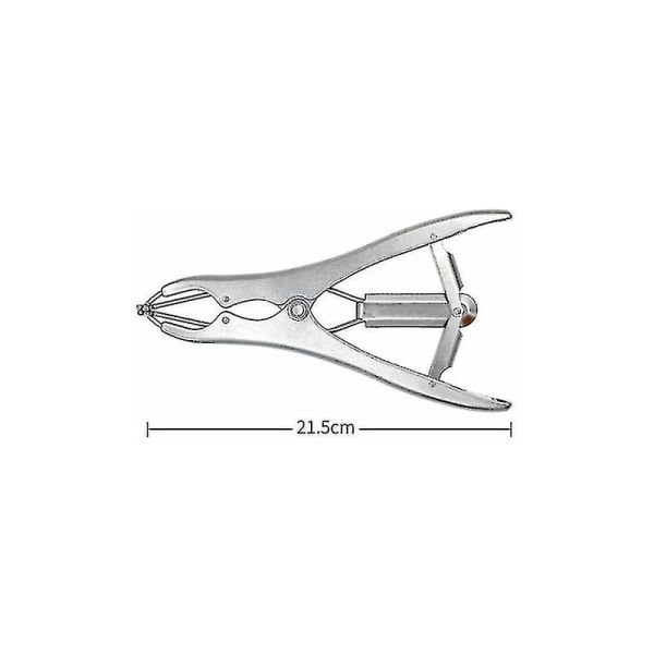 Rustfritt stål elastisk kastreringsklemme storfe gris sau belte 100 gummiring 21,5 cm sølv DB
