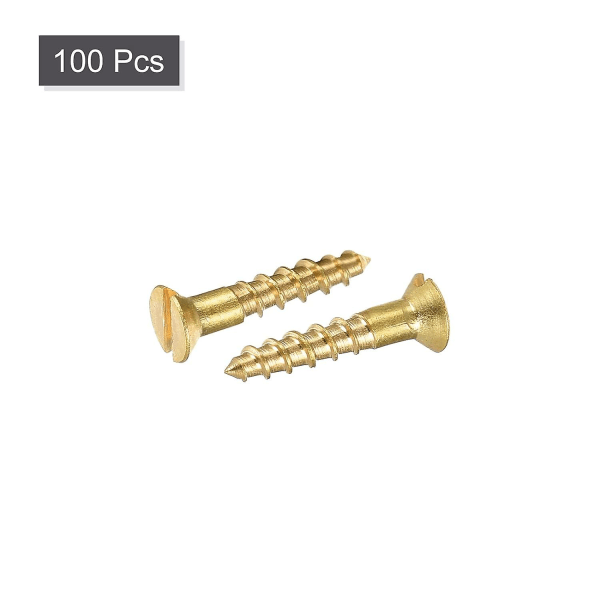 Træskruer M2 X 10mm Slids Flat Head Messing Selvborende Skruer 100 Stk