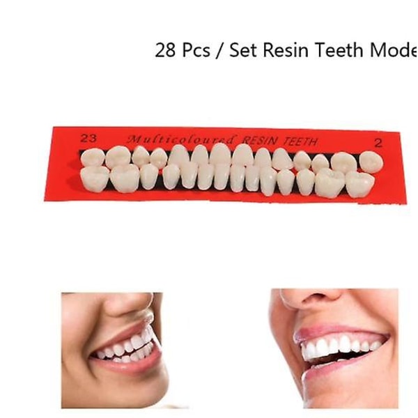 28 Universal Resi hammasproteesihartsimallin set