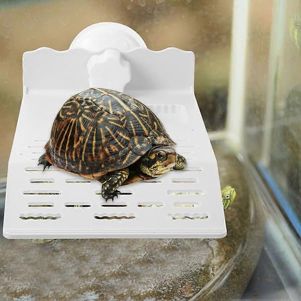 Skildpadde solplatform til krybdyrhabitat med sugekop 2 stk. sæt[DB]