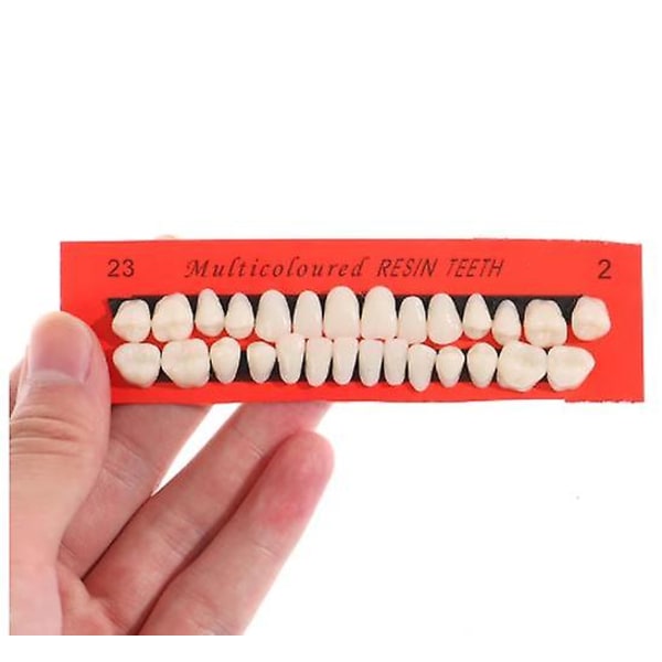 28 kappaleen yleismallinen Resi-hammasproteesimalli