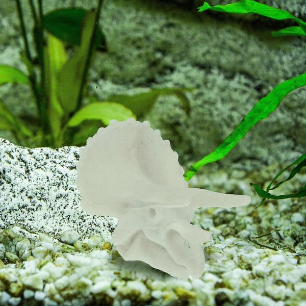 Harpiks akvariedekoration knoglepynt til akvarium 2 stk. [DB]