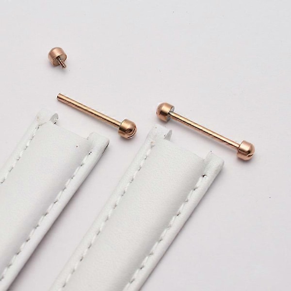 1 Par Urremme Skruepinner for Smartklokke Armbånds Lås Spenne Friksjon Tub db Silver 22mm