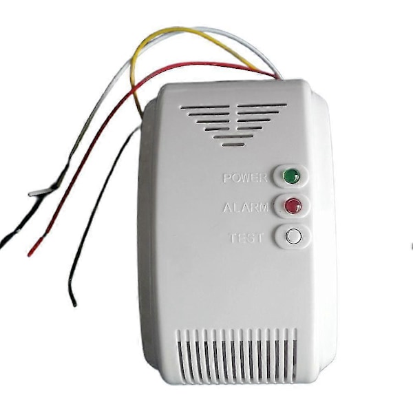 12V Gas Alarm Sensor Alarm Propan Butan LPG Naturgas Autocamper [Db] As shown