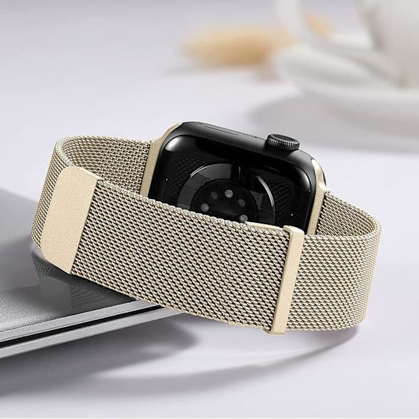 Metallrem kompatibel med Apple Watch-rem 42mm 44mm 45mm 49mm, magnetiskt ersättningsband i rostfritt stål för Iwatch Series 8 7 6 5 4 3 2 1 Se Ult