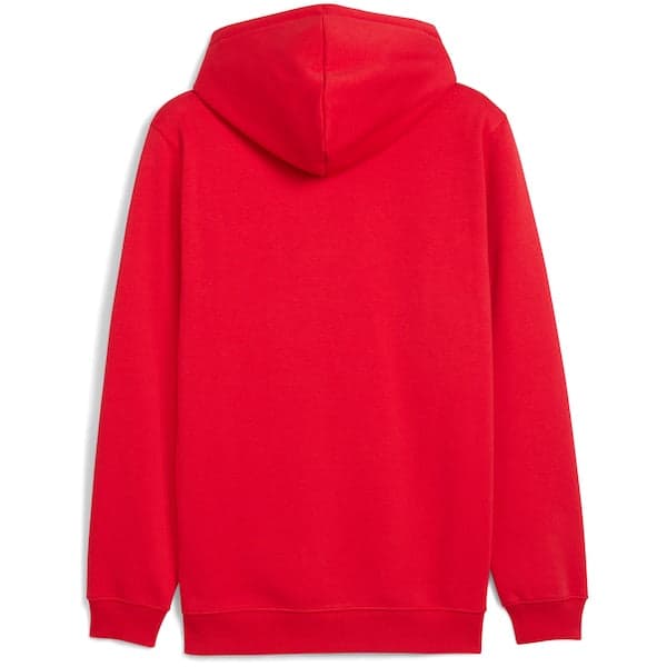 Grönländsk hoodie