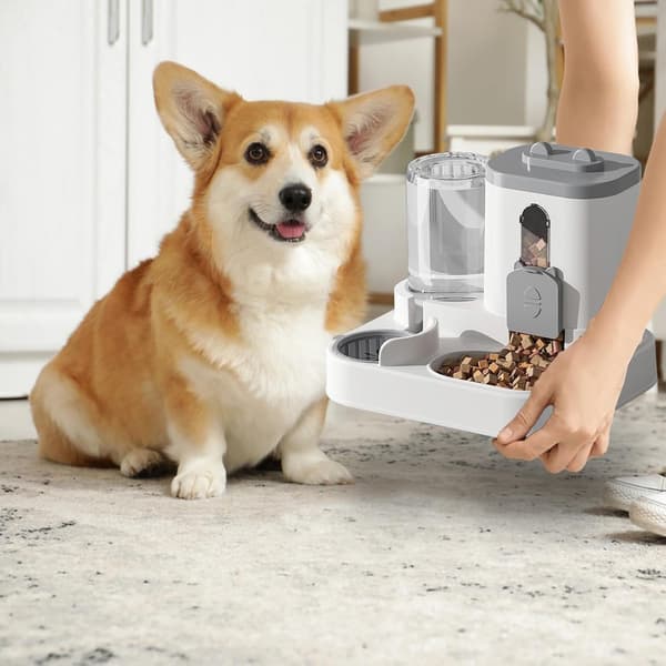 2-i-1 Automatisk Kattefoderautomat med Vanddispenser - 2,2L Foder & 0,8L Vandstation til Katte & Små Hunde, Hjem & Rejse