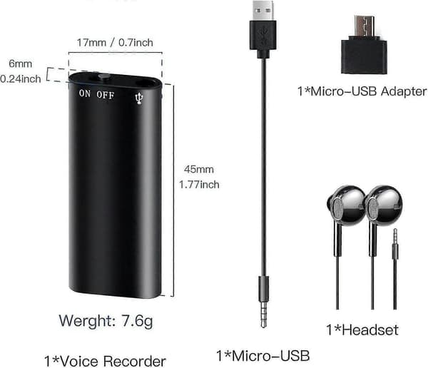 Bärbar mini röststyrd inspelningspenna, 64 GB kapacitet