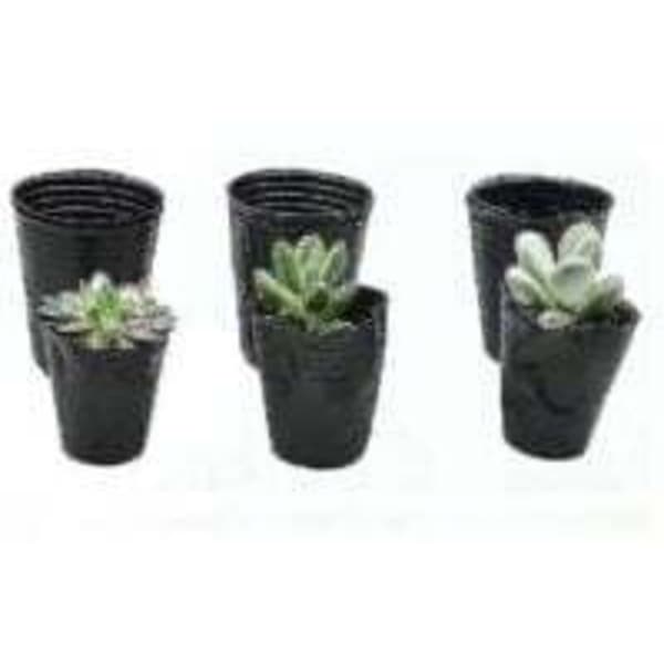 500 stk. plastikpotter til planteopdræt (8 cm x 8 cm)