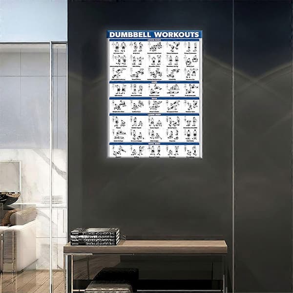 Laminated Workout Poster for Dumbbell Training, Free Weights, Bodybuilding