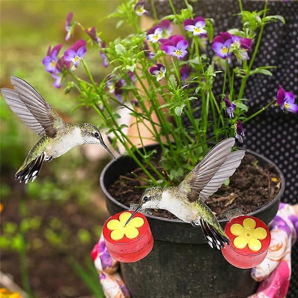 Plastfuglevandingsflaske Hængende Kolibrifoder Have Udendørs Plastblomst Jernkrog Kæledyrsfugletilbehør