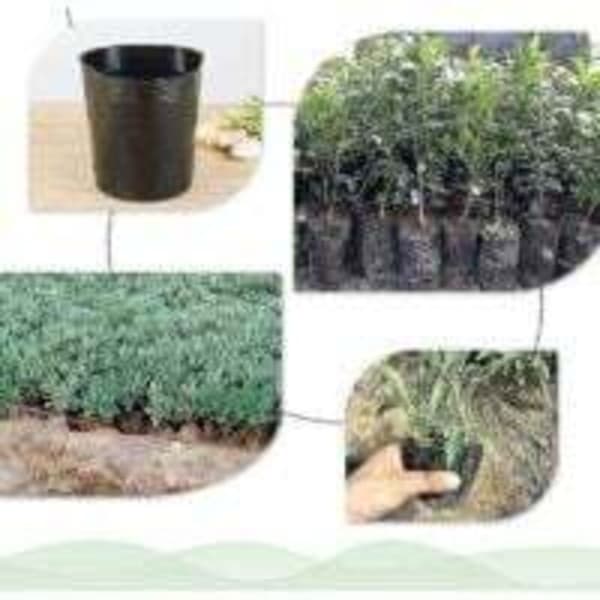 500 pcs Plastic Pots for Seedling Cultivation (8 cm x 8 cm)