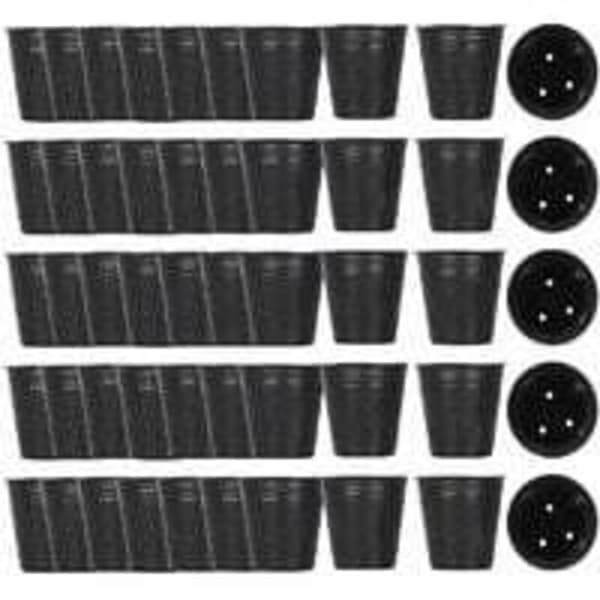 500 pcs Plastic Pots for Seedling Cultivation (8 cm x 8 cm)