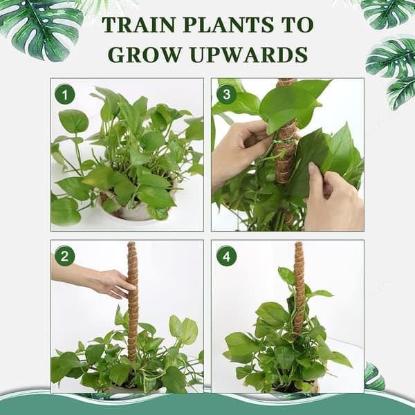 4-pack Trädgårdspinnar för Monstera deliciosa, Växtstöd, Böjbara Formbara Mossapinnar, Pothos och Klätterväxter