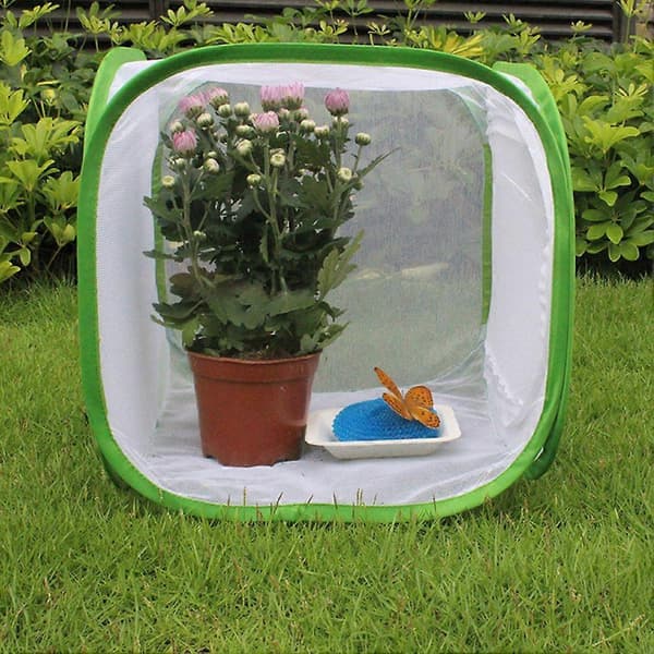 Large Foldable Portable Durable Ventilated Butterfly Habitat Breeding Cage S