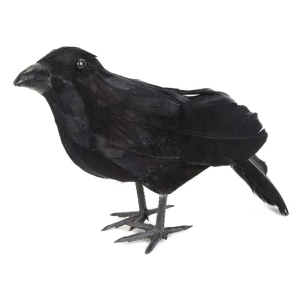Simulering Black Crow Raven Bird Repellent Pest Control
