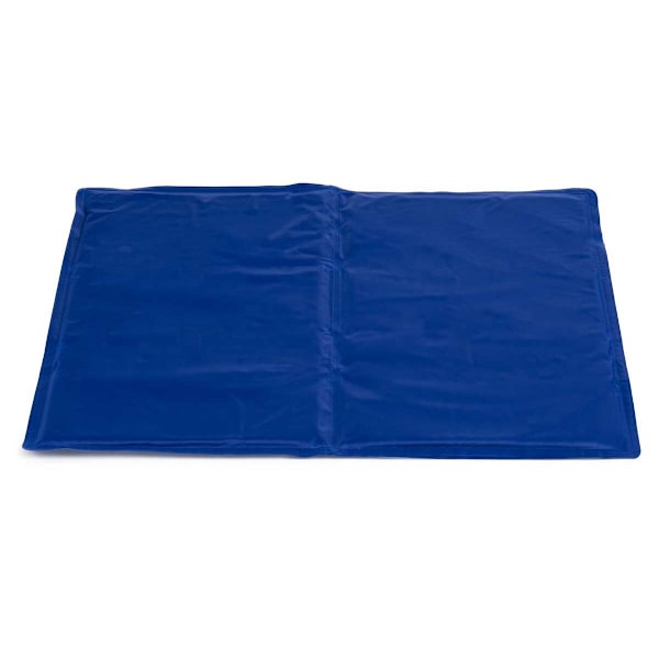 Hundmatta Uppfriskande Blue Foam Gel 39,5 x 1 x 50 cm (12 enheter)