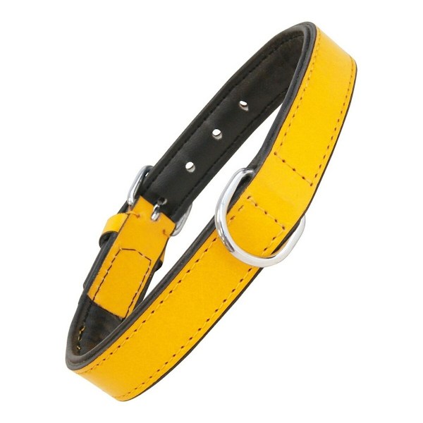 Hundhalsband Gloria Padded Yellow (35 x 1,5 cm)