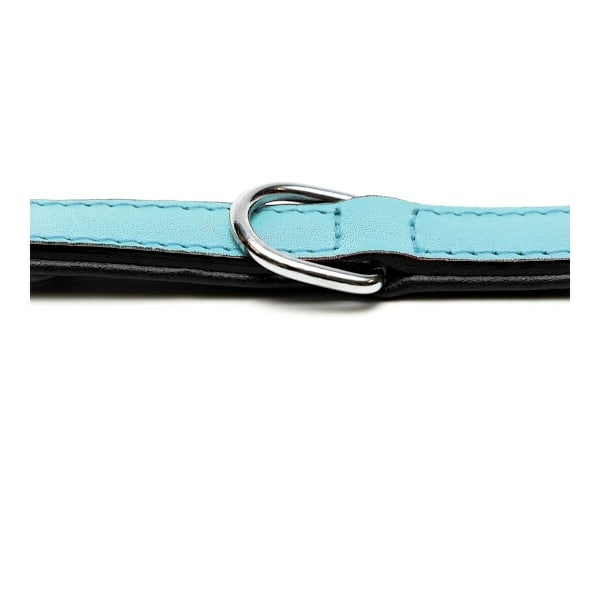 Hundhalsband Gloria Padded Blue (50 x 2,5 cm)