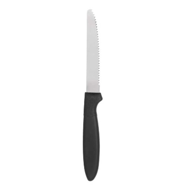 Knivset Svart Silver Rostfritt stål Plast 19,5 cm (12 enheter)